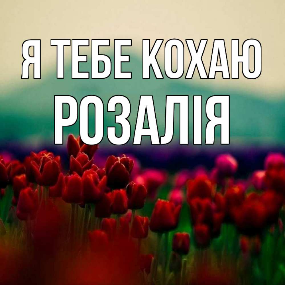 Открытка на каждый день з підписом, Розалія Я тебе кохаю тюльпаны 4 Прикольна листівка з побажанням онлайн скачати безкоштовно 