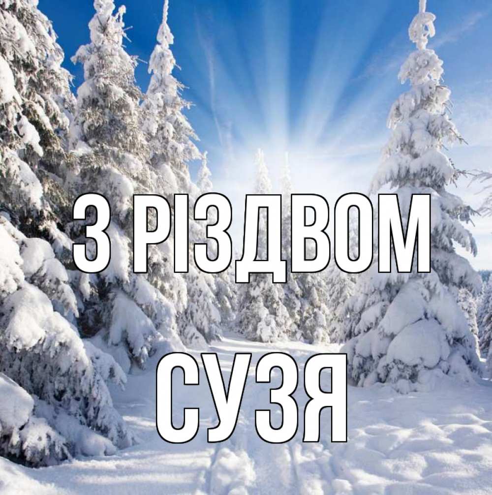 Открытка на каждый день з підписом, Сузя З Різдвом зима, лес Прикольна листівка з побажанням онлайн скачати безкоштовно 