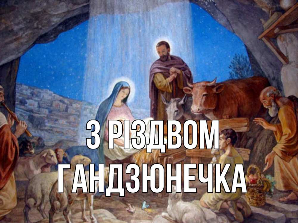 Открытка на каждый день з підписом, Гандзюнечка З Різдвом Хлев с животными, Иисус, рождество Прикольна листівка з побажанням онлайн скачати безкоштовно 