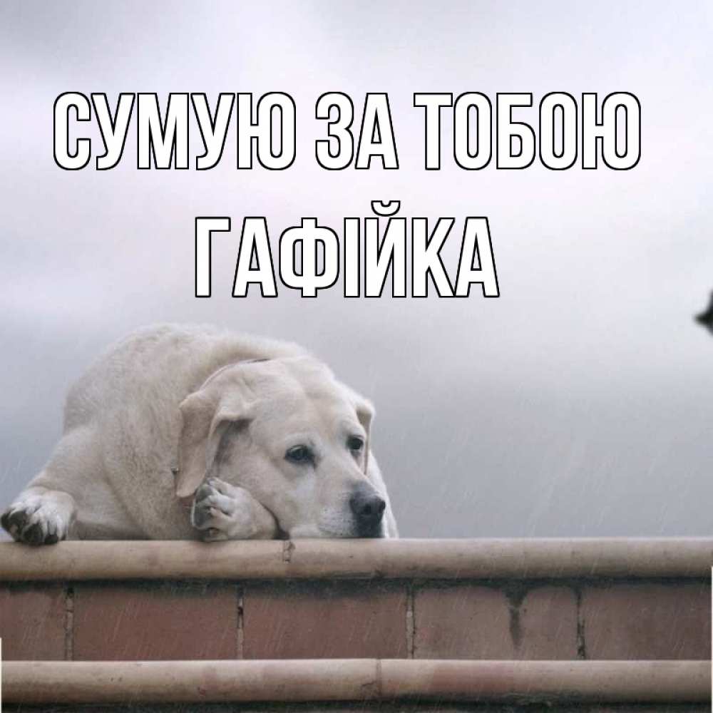 Открытка на каждый день з підписом, Гафійка Сумую за тобою ждет Прикольна листівка з побажанням онлайн скачати безкоштовно 