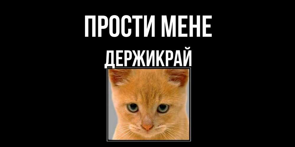 Открытка на каждый день з підписом, Держикрай Прости мене рыжий грустный кот просит прощения Прикольна листівка з побажанням онлайн скачати безкоштовно 