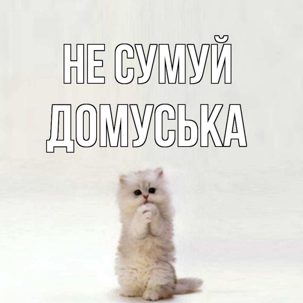 Открытка на каждый день з підписом, Домуська Не сумуй грустный кот Прикольна листівка з побажанням онлайн скачати безкоштовно 