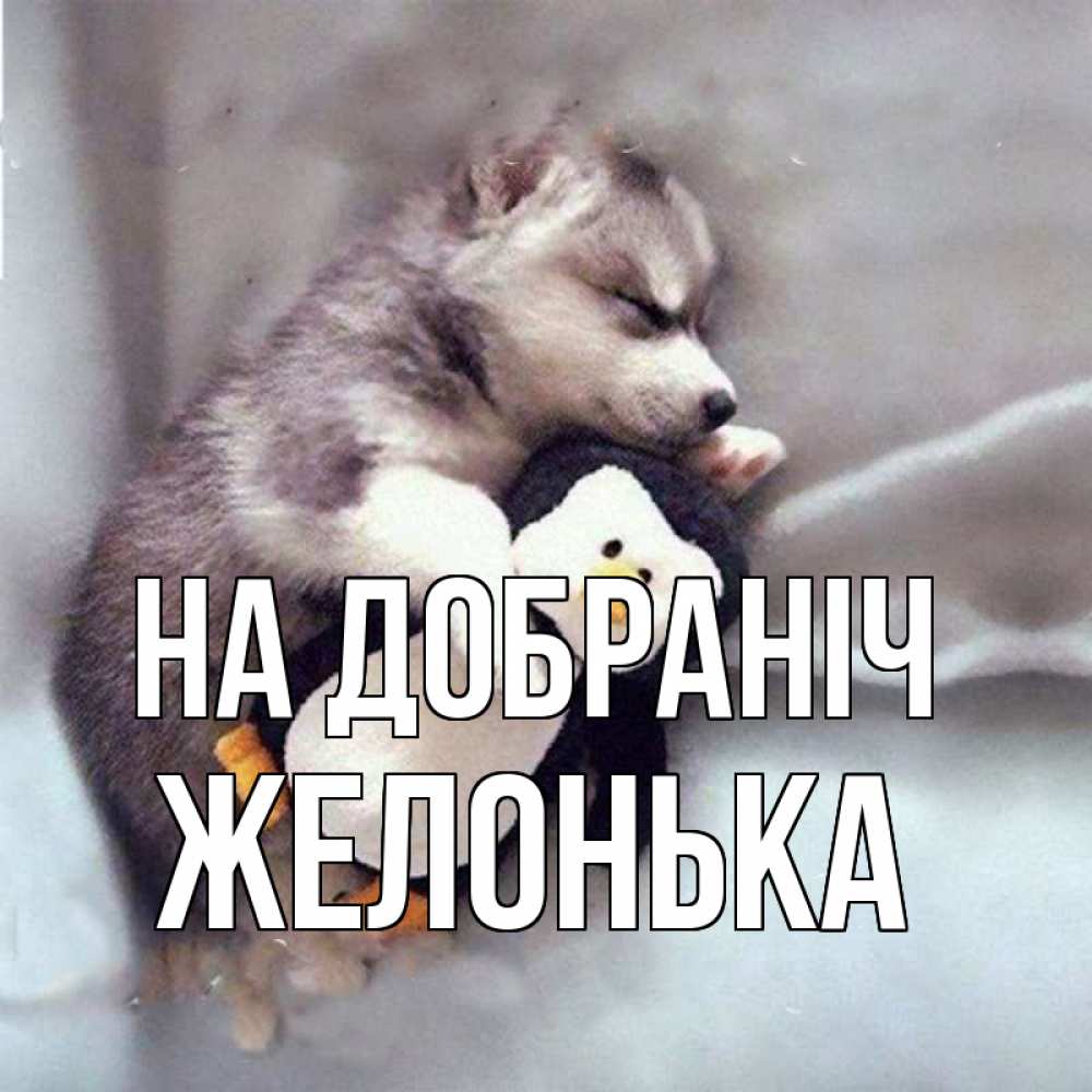 Открытка на каждый день з підписом, Желонька На добраніч обнимашки щенка и пингвина Прикольна листівка з побажанням онлайн скачати безкоштовно 