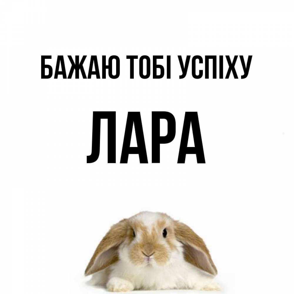 Открытка на каждый день з підписом, Лара Бажаю тобі успіху открытки с произвольным текстом который можно вставить в открытку и создать ее самостоятельно бесплатно онлайн Прикольна листівка з побажанням онлайн скачати безкоштовно 