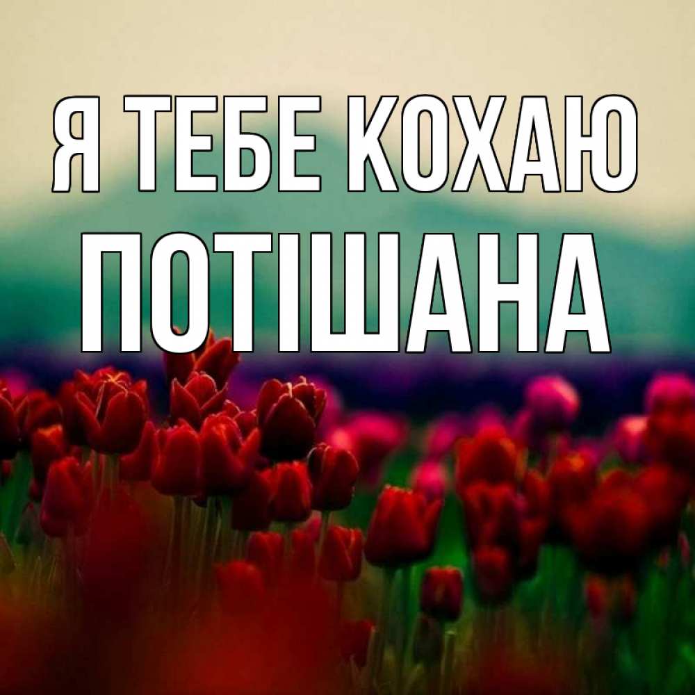 Открытка на каждый день з підписом, Потішана Я тебе кохаю тюльпаны 4 Прикольна листівка з побажанням онлайн скачати безкоштовно 