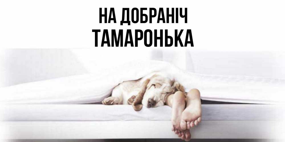 Открытка на каждый день з підписом, Тамаронька На добраніч кровать с собакой пожелание сладких снов и спокойной ночи Прикольна листівка з побажанням онлайн скачати безкоштовно 