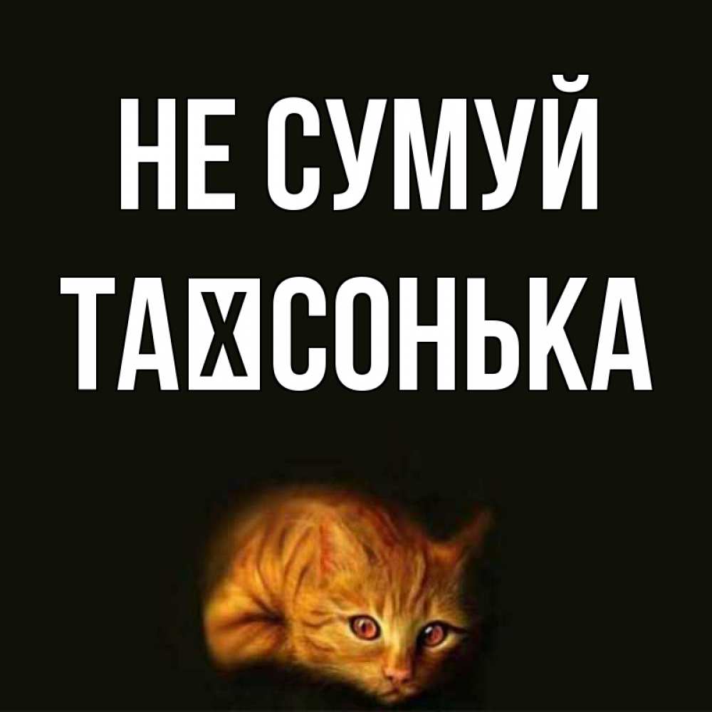 Открытка на каждый день з підписом, Таїсонька Не сумуй лежащий кот в темноте Прикольна листівка з побажанням онлайн скачати безкоштовно 
