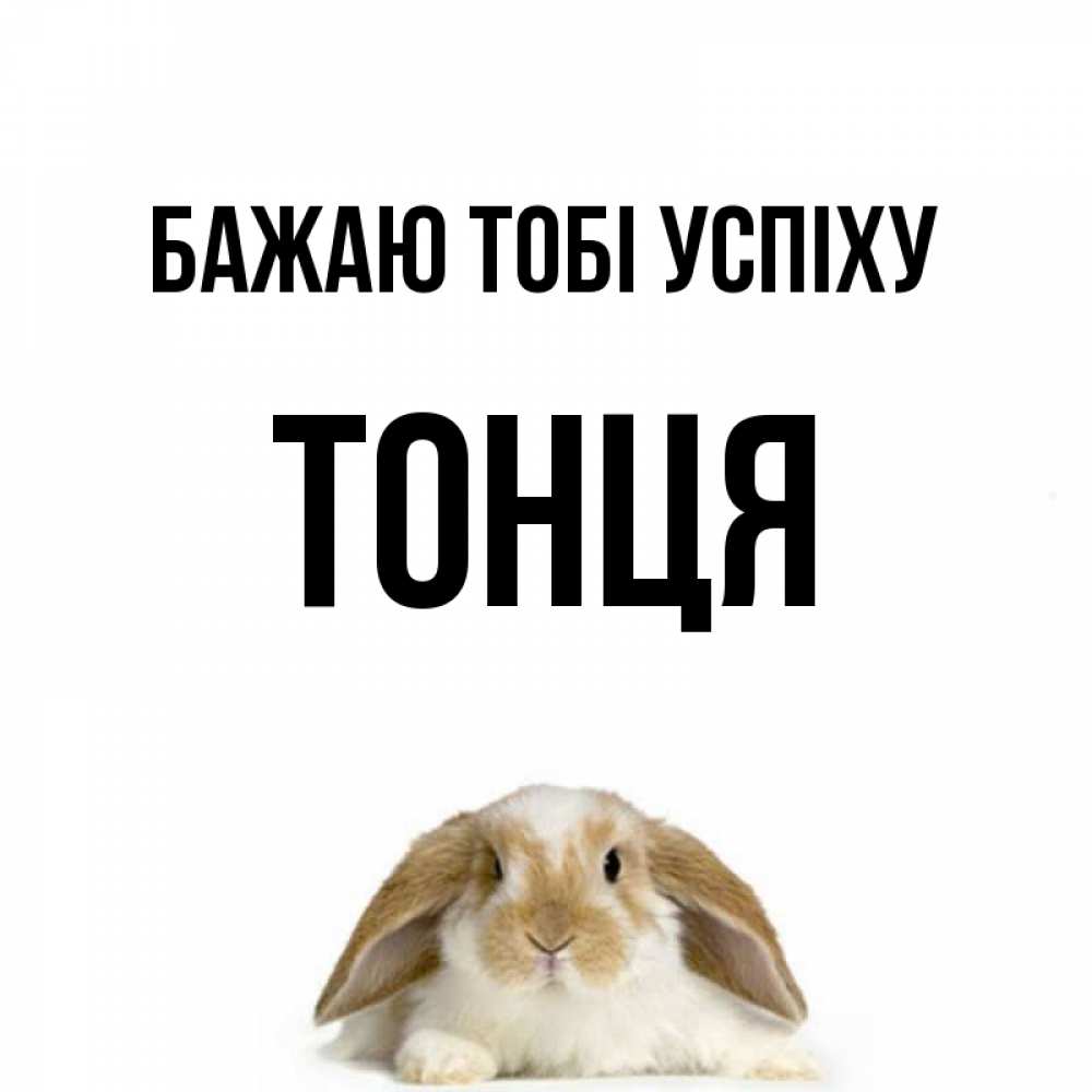 Открытка на каждый день з підписом, Тонця Бажаю тобі успіху открытки с произвольным текстом который можно вставить в открытку и создать ее самостоятельно бесплатно онлайн Прикольна листівка з побажанням онлайн скачати безкоштовно 