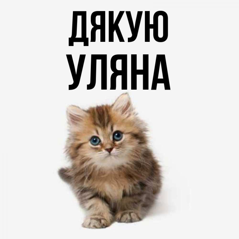 Открытка на каждый день з підписом, Уляна Дякую пушистый котик Прикольна листівка з побажанням онлайн скачати безкоштовно 