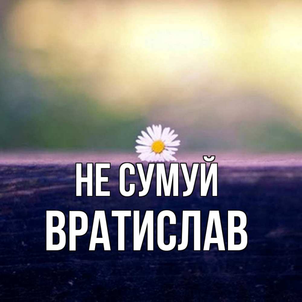 Открытка на каждый день з підписом, Вратислав Не сумуй красота Прикольна листівка з побажанням онлайн скачати безкоштовно 