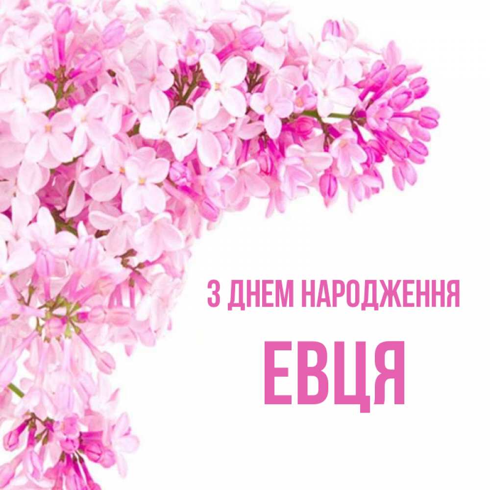 Открытка на каждый день з підписом, Евця З Днем народження Сирень на белом фоне Прикольна листівка з побажанням онлайн скачати безкоштовно 