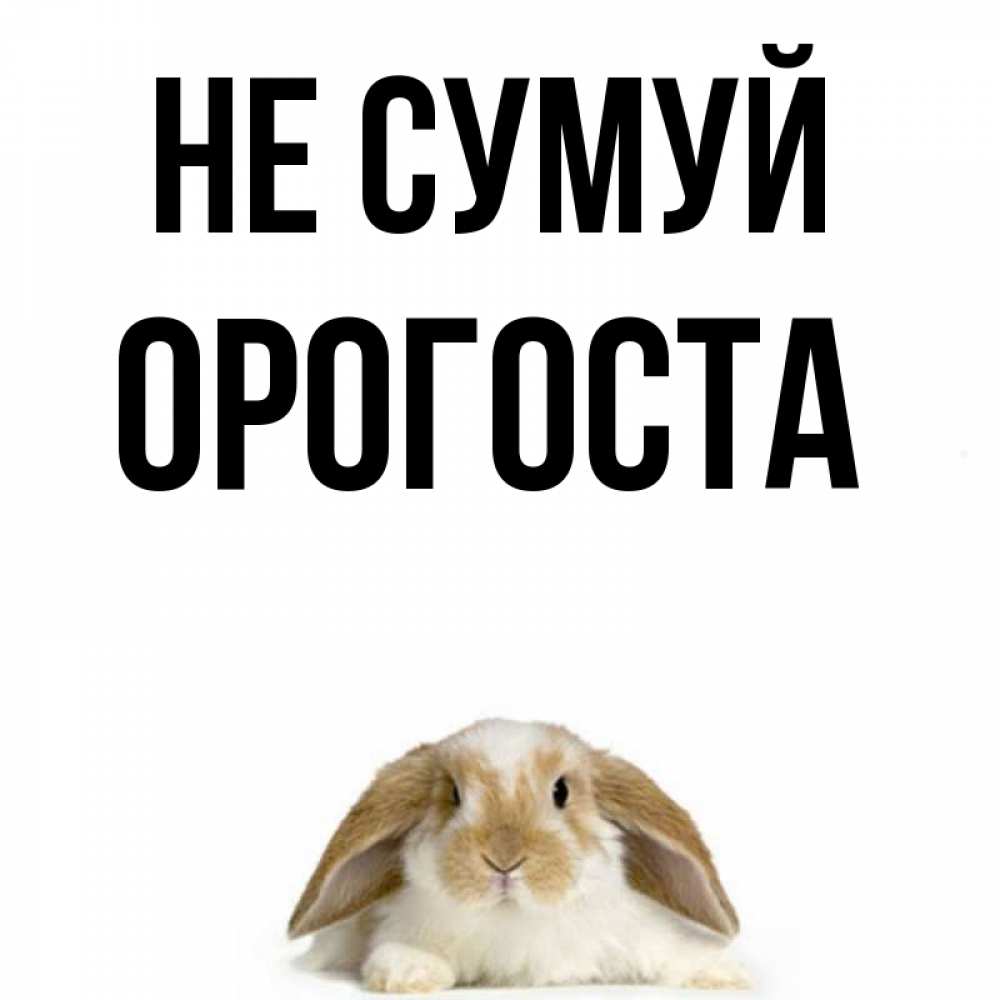 Открытка на каждый день з підписом, Орогоста Не сумуй коричнево белый заяц с большими ушками Прикольна листівка з побажанням онлайн скачати безкоштовно 