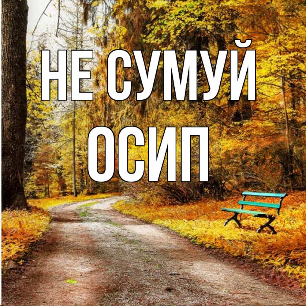 Открытка на каждый день з підписом, Осип Не сумуй зеленая лавочка Прикольна листівка з побажанням онлайн скачати безкоштовно 