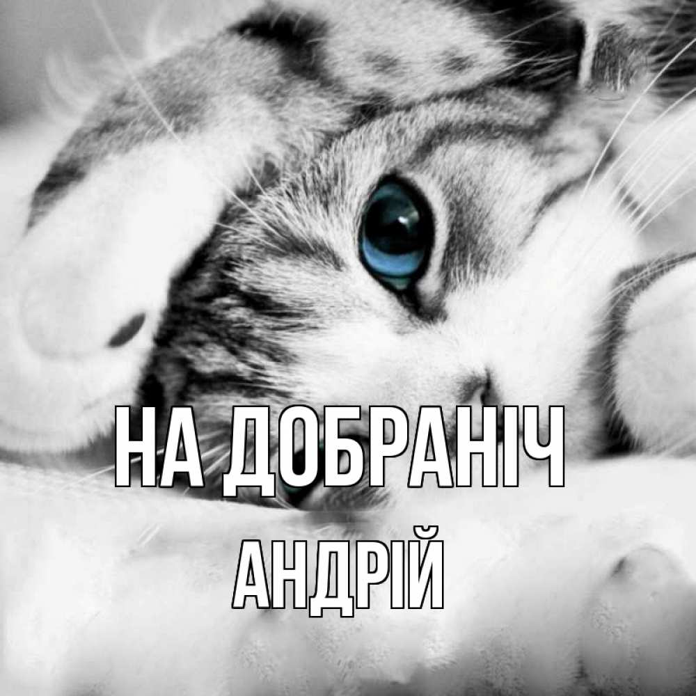 Открытка на каждый день з підписом, Андрій На добраніч кот устал Прикольна листівка з побажанням онлайн скачати безкоштовно 