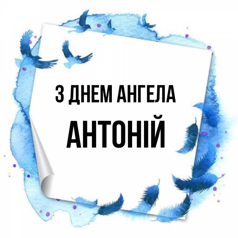 Открытка на каждый день з підписом, Антоній З Днем ангела красивые птицы летят Прикольна листівка з побажанням онлайн скачати безкоштовно 