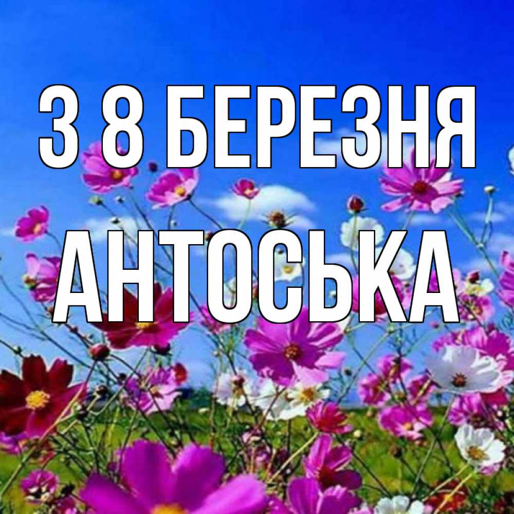 Открытка на каждый день з підписом, Антоська З 8 БЕРЕЗНЯ цветы Прикольна листівка з побажанням онлайн скачати безкоштовно 