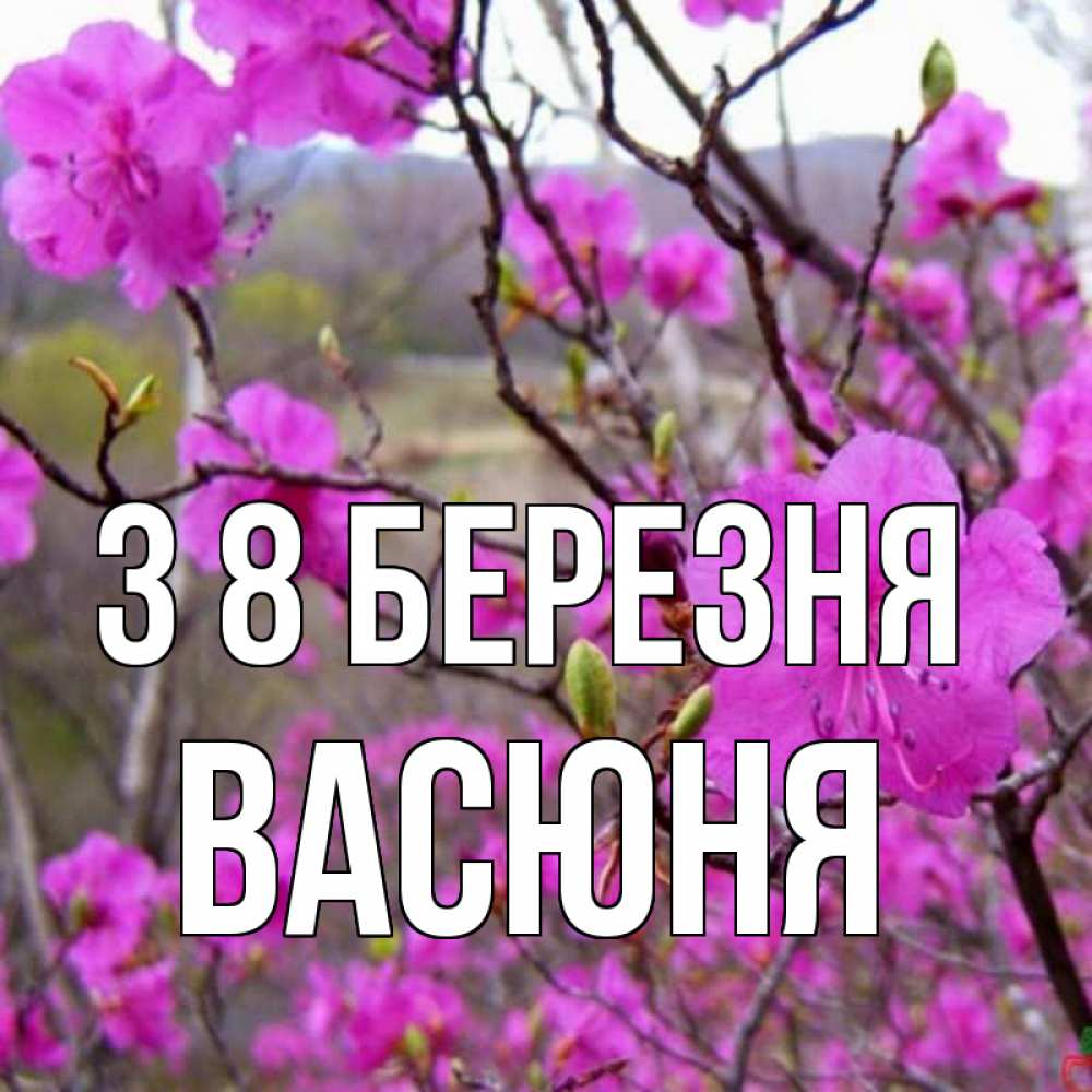 Открытка на каждый день з підписом, Васюня З 8 БЕРЕЗНЯ международный женский день Прикольна листівка з побажанням онлайн скачати безкоштовно 