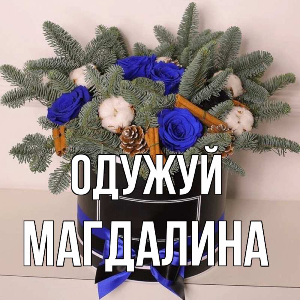 Открытка на каждый день з підписом, Магдалина Одужуй короче кто то загрузил эти шишки Прикольна листівка з побажанням онлайн скачати безкоштовно 