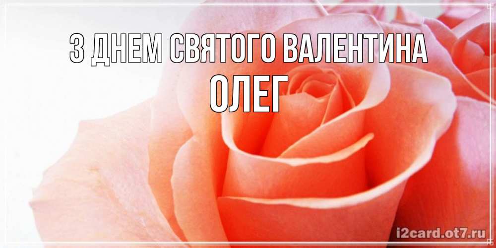 Открытка на каждый день з підписом, Олег З Днем Святого Валентина открытка на день Святого Валентина с розовой розой Прикольна листівка з побажанням онлайн скачати безкоштовно 