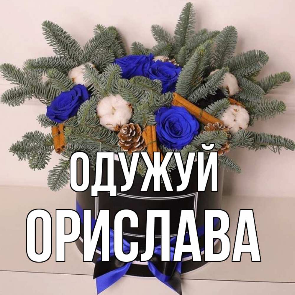 Открытка на каждый день з підписом, Орислава Одужуй короче кто то загрузил эти шишки Прикольна листівка з побажанням онлайн скачати безкоштовно 