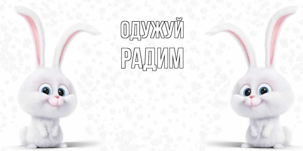 Открытка на каждый день з підписом, Радим Одужуй не болей с зайцем Прикольна листівка з побажанням онлайн скачати безкоштовно 