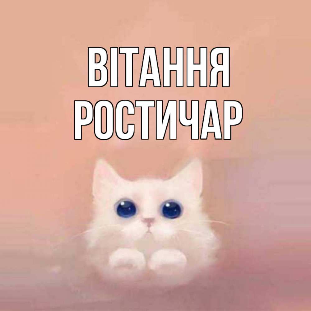 Открытка на каждый день з підписом, Ростичар Вітання котик белый в полете Прикольна листівка з побажанням онлайн скачати безкоштовно 