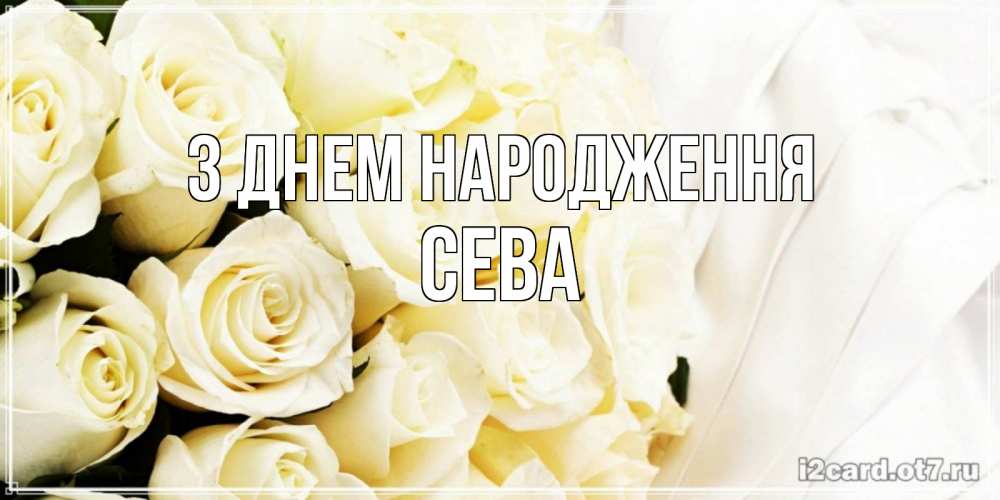 Открытка на каждый день з підписом, Сева З Днем народження белые розы в букете Прикольна листівка з побажанням онлайн скачати безкоштовно 