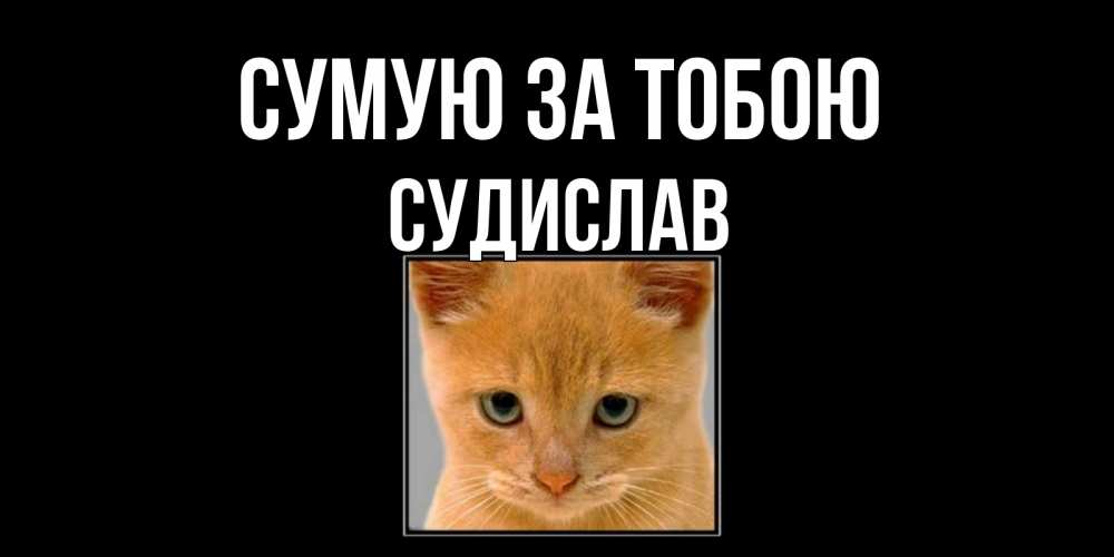 Открытка на каждый день з підписом, Судислав Сумую за тобою открытки рыжий котенок скучает по тебе Прикольна листівка з побажанням онлайн скачати безкоштовно 