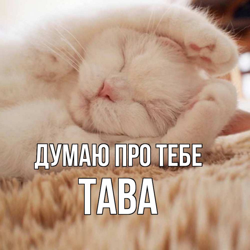 Открытка на каждый день з підписом, Тава Думаю про тебе для любимой девушки милота Прикольна листівка з побажанням онлайн скачати безкоштовно 