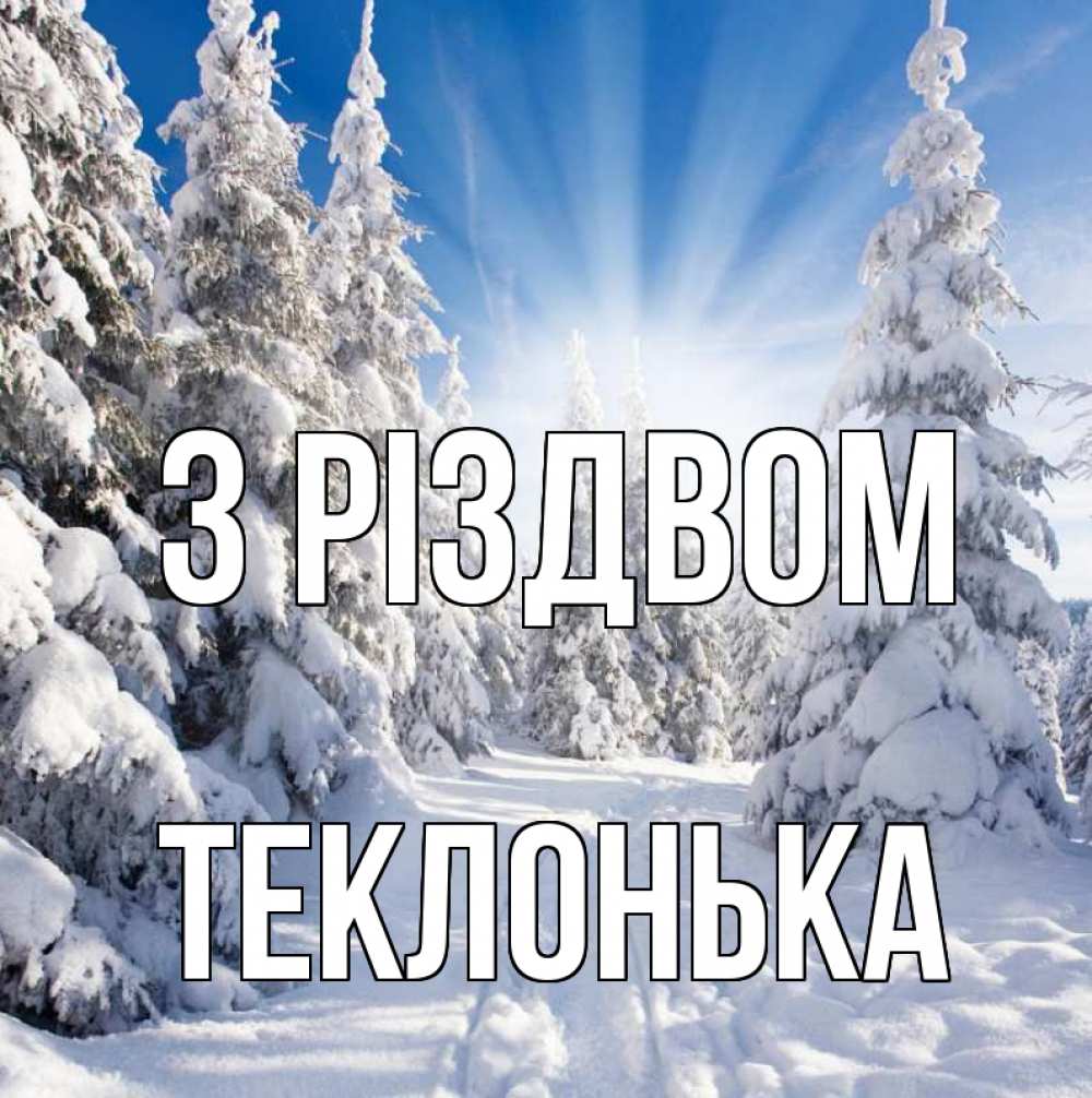 Открытка на каждый день з підписом, Теклонька З Різдвом зима, лес Прикольна листівка з побажанням онлайн скачати безкоштовно 