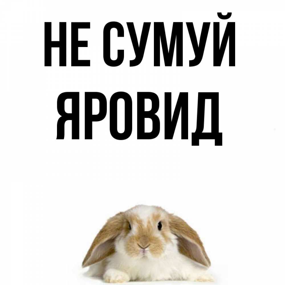 Открытка на каждый день з підписом, Яровид Не сумуй коричнево белый заяц с большими ушками Прикольна листівка з побажанням онлайн скачати безкоштовно 