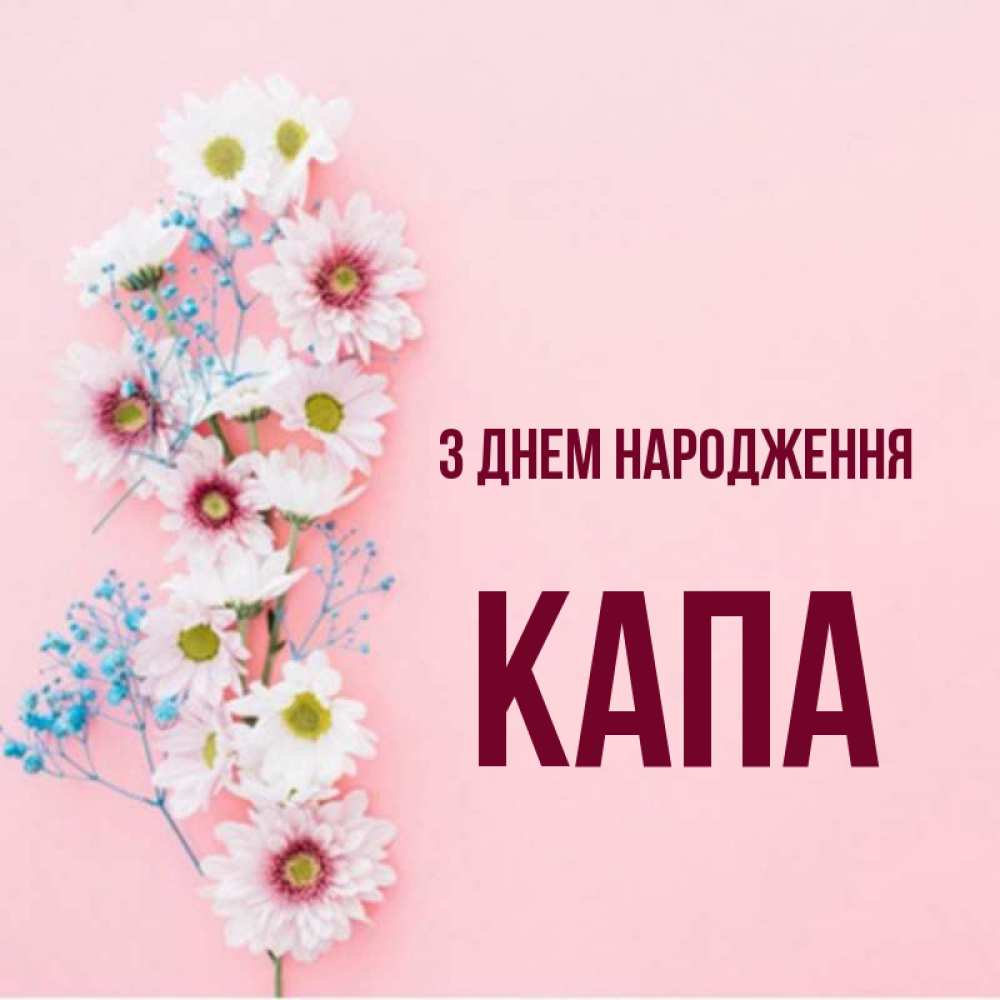 Открытка на каждый день з підписом, Капа З Днем народження Родная моя с днем рождения тебя картинка с цветами белыми и голубыми Прикольна листівка з побажанням онлайн скачати безкоштовно 