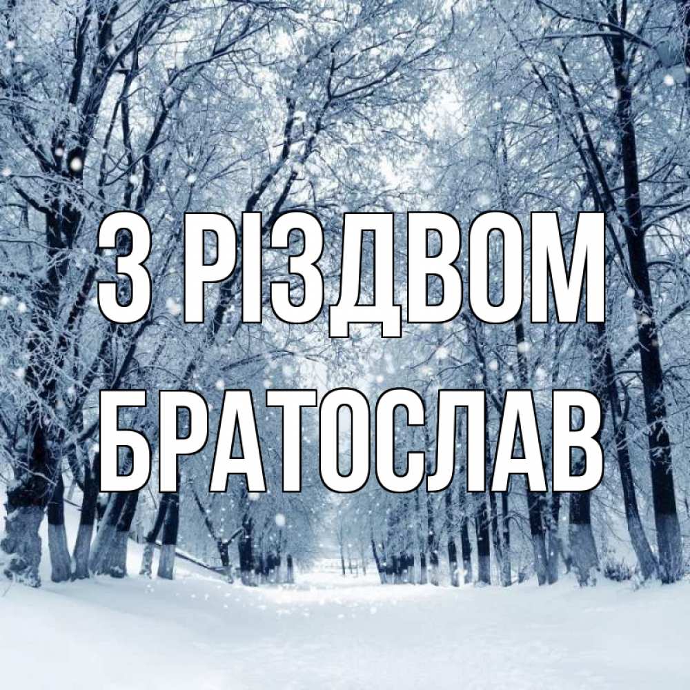 Открытка на каждый день з підписом, Братослав З Різдвом снег, лес, парк Прикольна листівка з побажанням онлайн скачати безкоштовно 