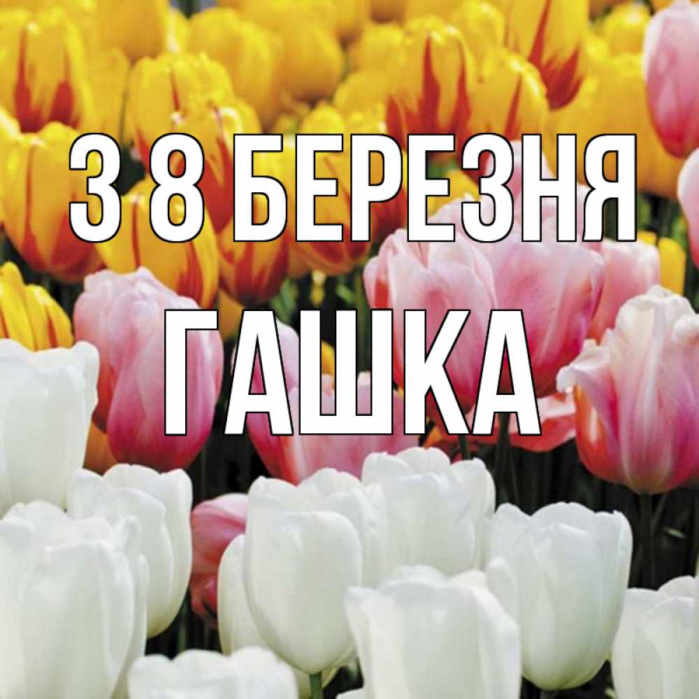 Открытка на каждый день з підписом, Гашка З 8 БЕРЕЗНЯ разноцветные цветы Прикольна листівка з побажанням онлайн скачати безкоштовно 