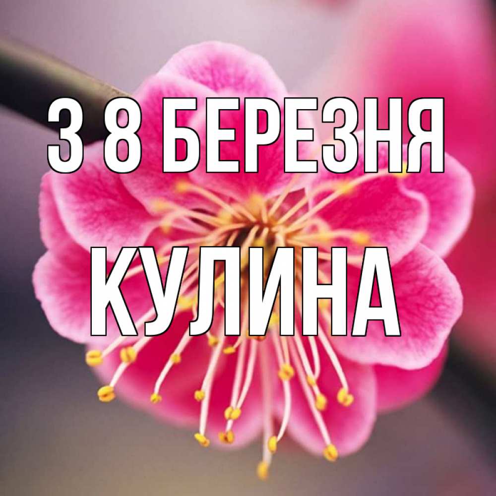 Открытка на каждый день з підписом, Кулина З 8 БЕРЕЗНЯ цветы Прикольна листівка з побажанням онлайн скачати безкоштовно 