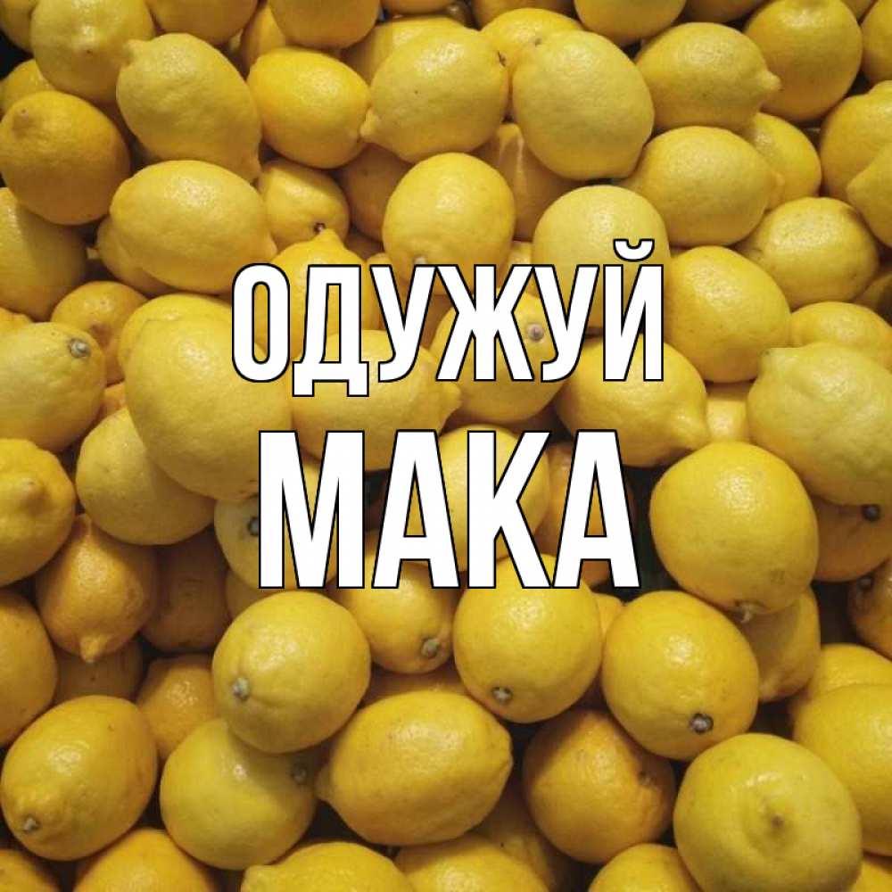 Открытка на каждый день з підписом, Мака Одужуй это точно поможет Прикольна листівка з побажанням онлайн скачати безкоштовно 