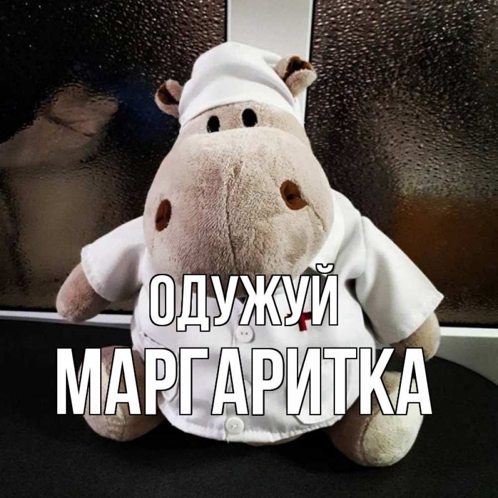 Открытка на каждый день з підписом, Маргаритка Одужуй всех излечит исцелит Прикольна листівка з побажанням онлайн скачати безкоштовно 