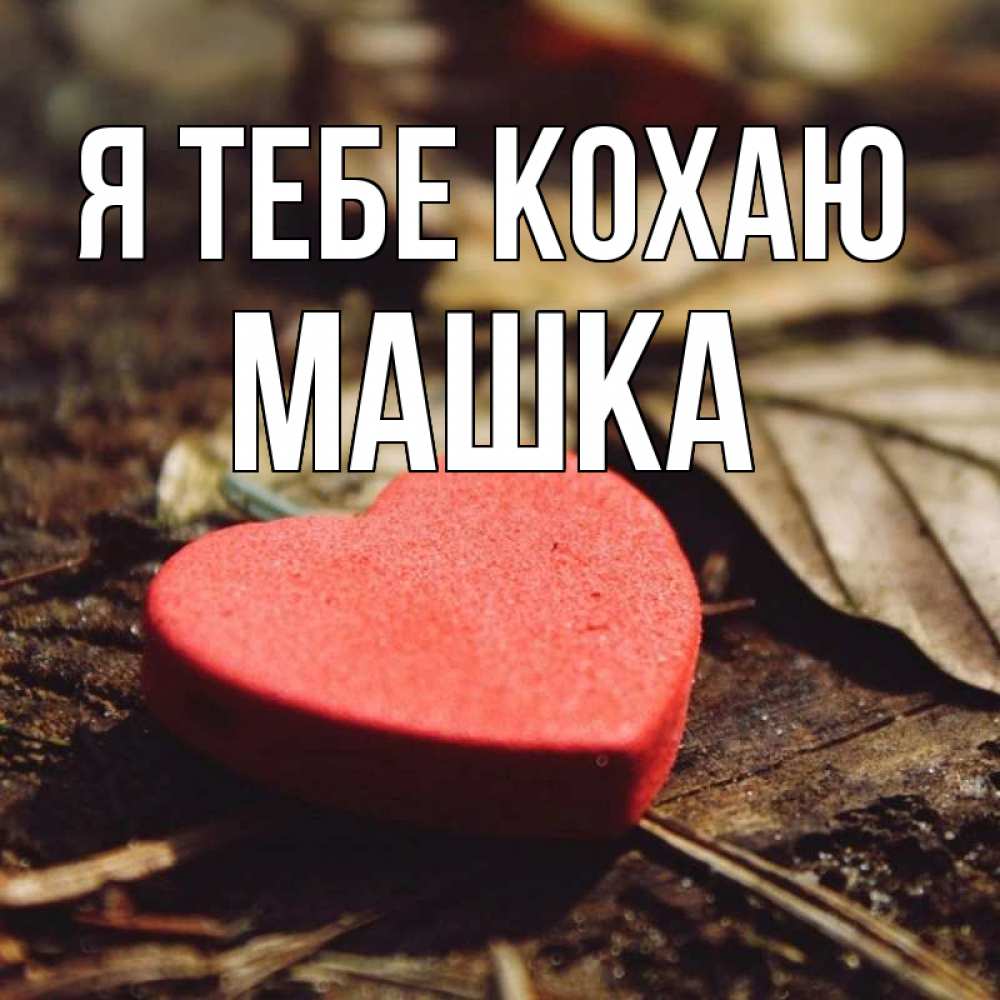 Открытка на каждый день з підписом, Машка Я тебе кохаю листья деревье 4 Прикольна листівка з побажанням онлайн скачати безкоштовно 