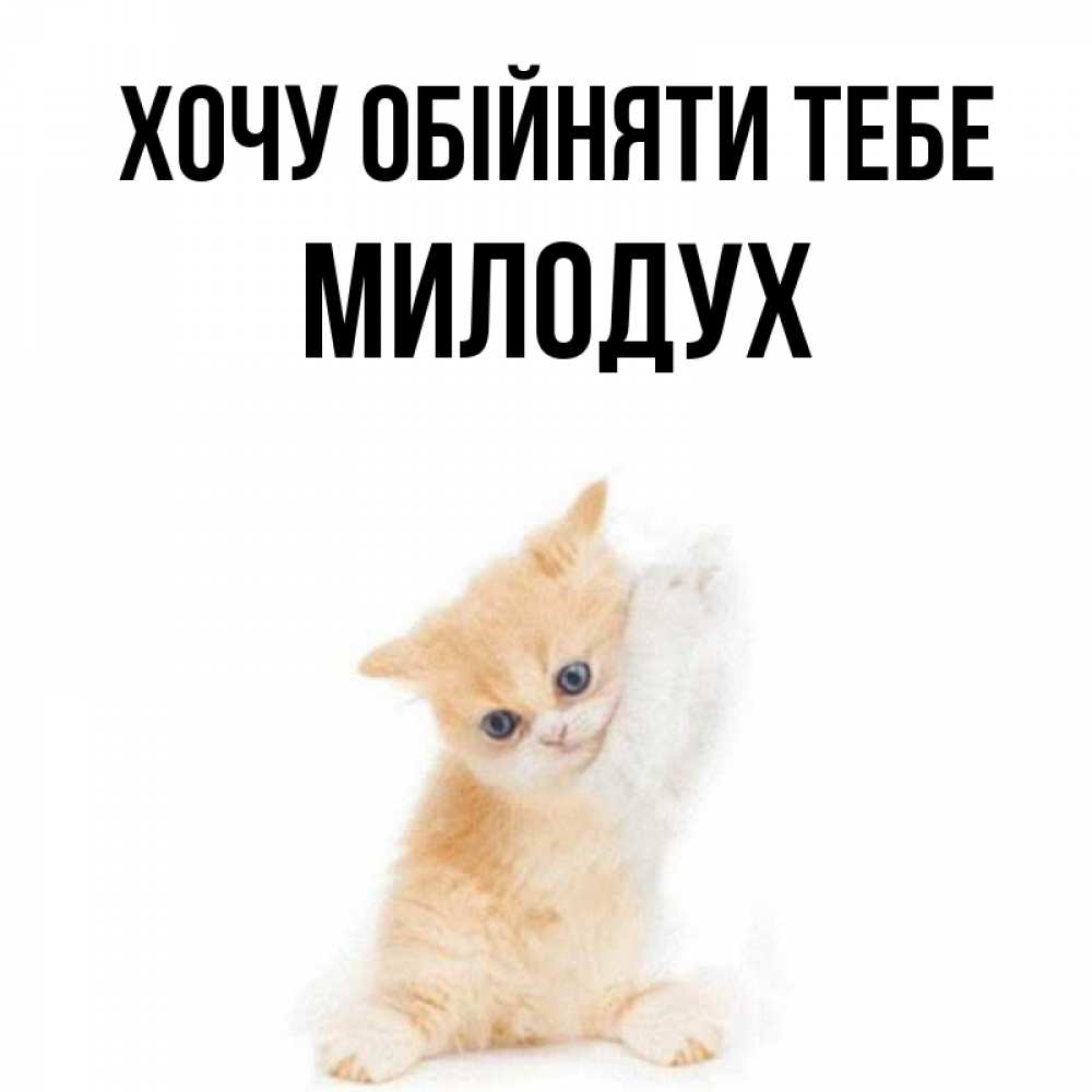 Открытка на каждый день з підписом, Милодух Хочу обійняти тебе я хочу очень скорее обнимаешек Прикольна листівка з побажанням онлайн скачати безкоштовно 