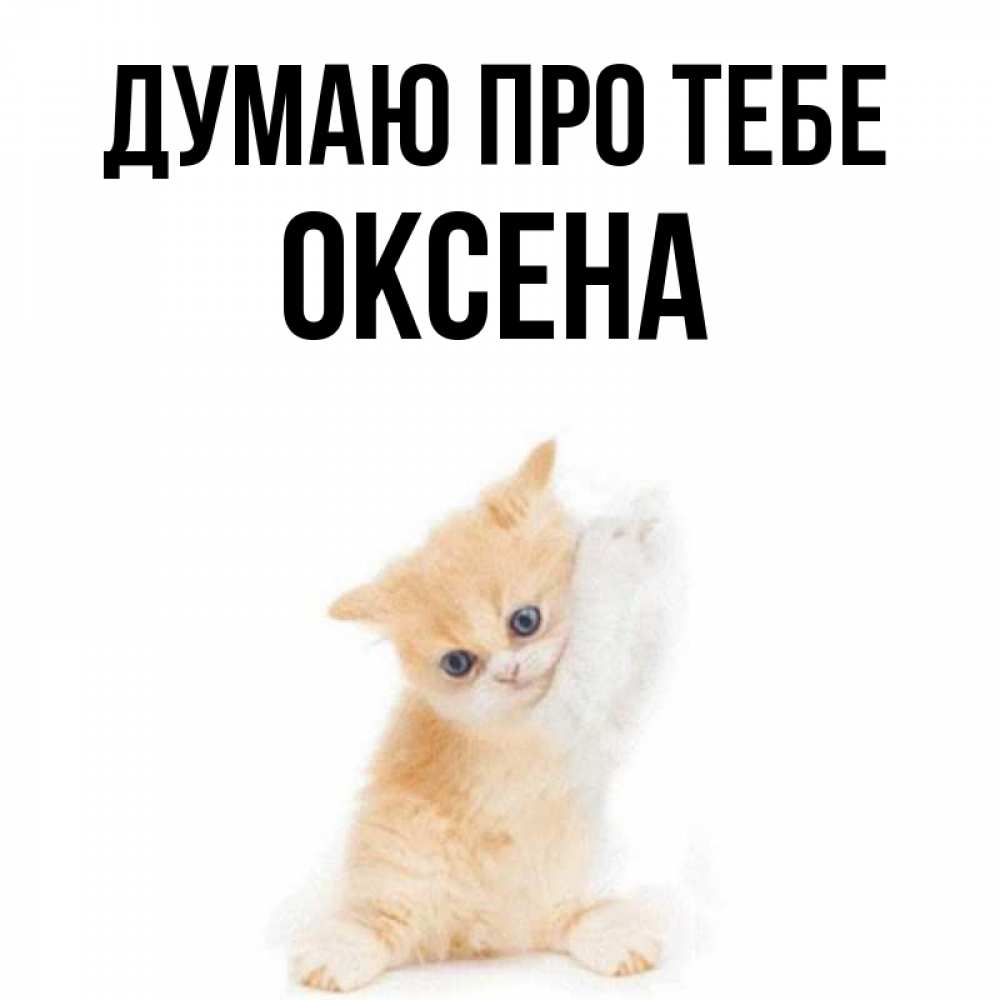 Открытка на каждый день з підписом, Оксена Думаю про тебе зверушки и милота Прикольна листівка з побажанням онлайн скачати безкоштовно 