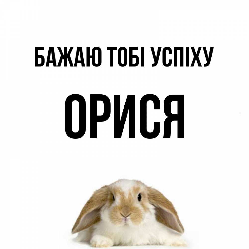 Открытка на каждый день з підписом, Орися Бажаю тобі успіху открытки с произвольным текстом который можно вставить в открытку и создать ее самостоятельно бесплатно онлайн Прикольна листівка з побажанням онлайн скачати безкоштовно 