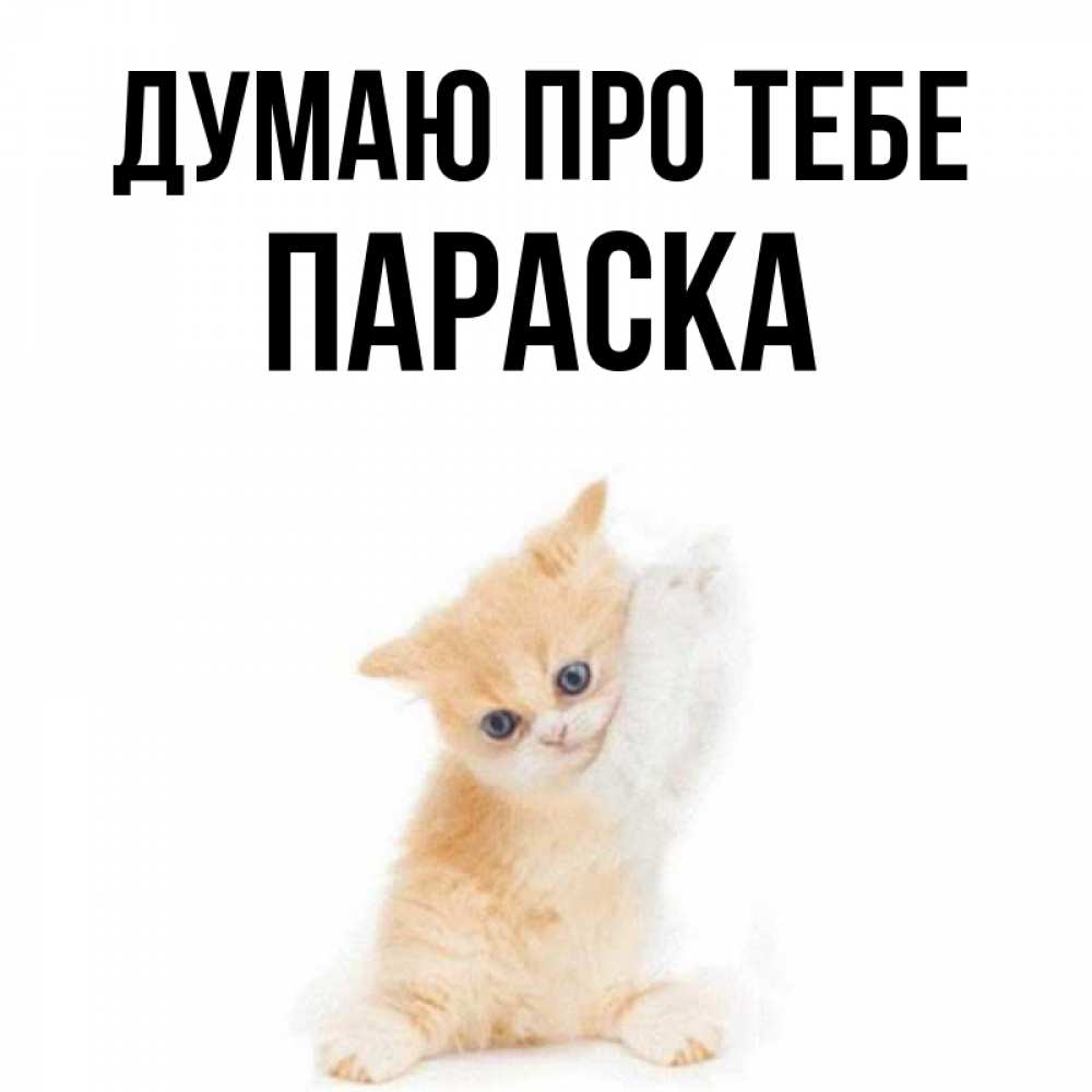 Открытка на каждый день з підписом, Параска Думаю про тебе зверушки и милота Прикольна листівка з побажанням онлайн скачати безкоштовно 