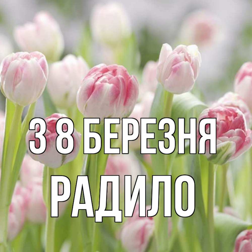 Открытка на каждый день з підписом, Радило З 8 БЕРЕЗНЯ цветы Прикольна листівка з побажанням онлайн скачати безкоштовно 