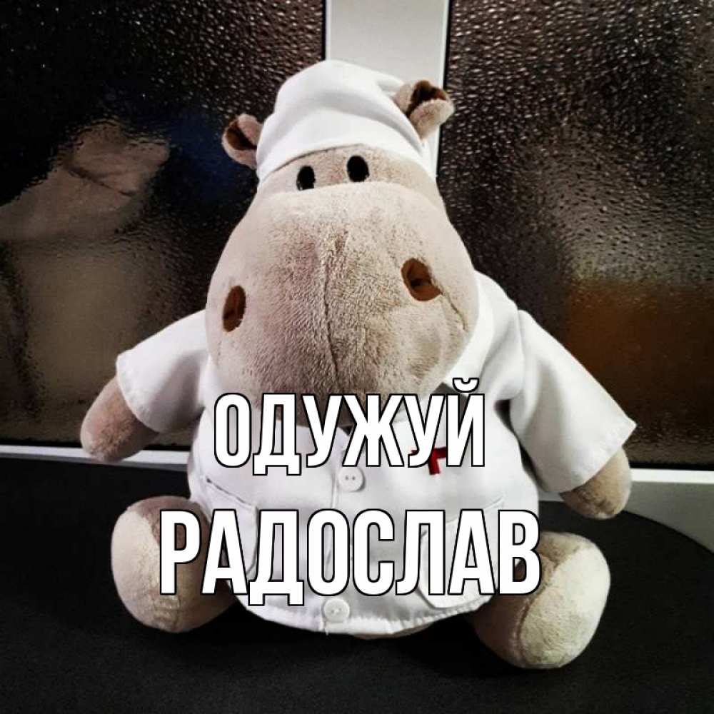 Открытка на каждый день з підписом, Радослав Одужуй всех излечит исцелит Прикольна листівка з побажанням онлайн скачати безкоштовно 