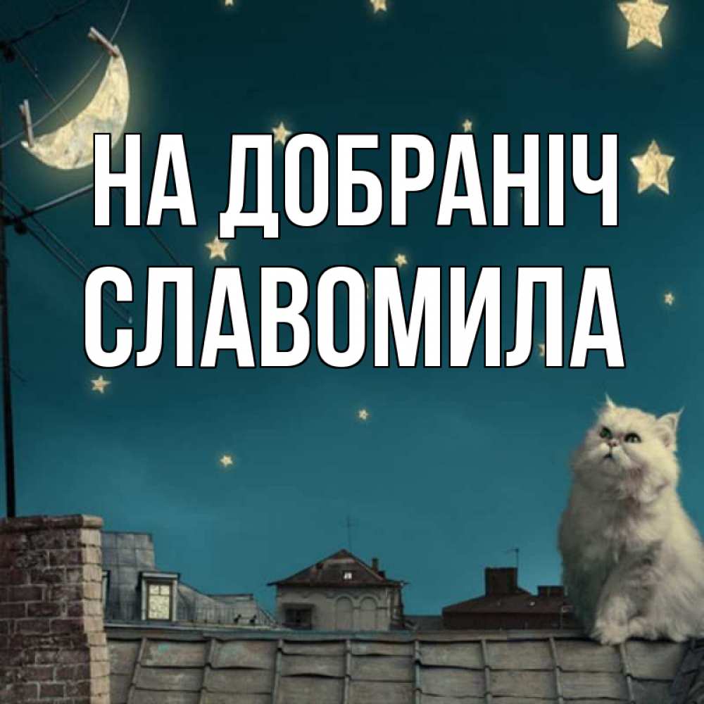 Открытка на каждый день з підписом, Славомила На добраніч белый кот сидит на крыше Прикольна листівка з побажанням онлайн скачати безкоштовно 