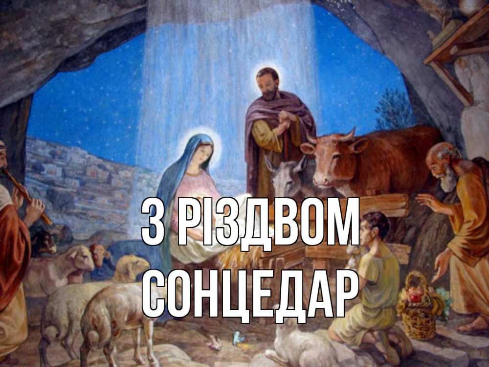 Открытка на каждый день з підписом, Сонцедар З Різдвом Хлев с животными, Иисус, рождество Прикольна листівка з побажанням онлайн скачати безкоштовно 