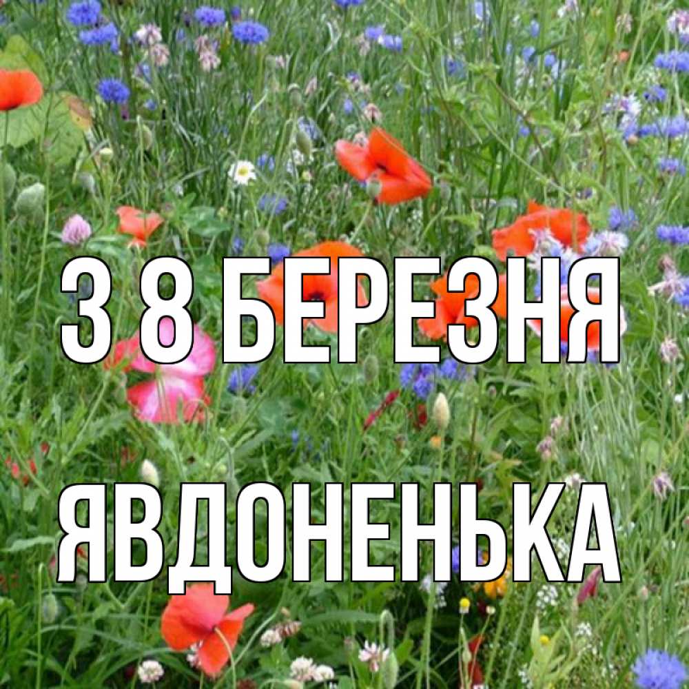 Открытка на каждый день з підписом, Явдоненька З 8 БЕРЕЗНЯ международный женский день 4 Прикольна листівка з побажанням онлайн скачати безкоштовно 
