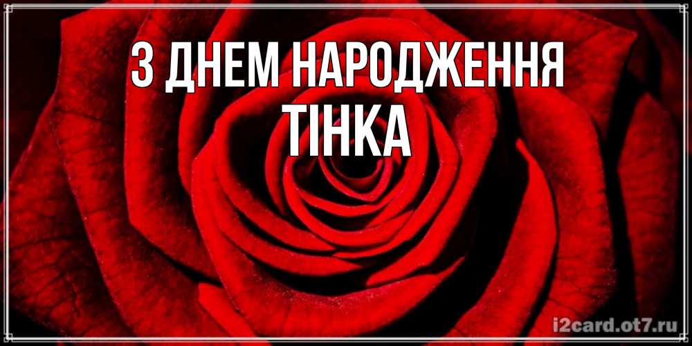 Открытка на каждый день з підписом, Тінка З Днем народження алая роза Прикольна листівка з побажанням онлайн скачати безкоштовно 
