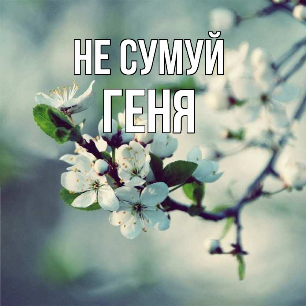 Открытка на каждый день з підписом, Геня Не сумуй яблоня в цвету 1 Прикольна листівка з побажанням онлайн скачати безкоштовно 