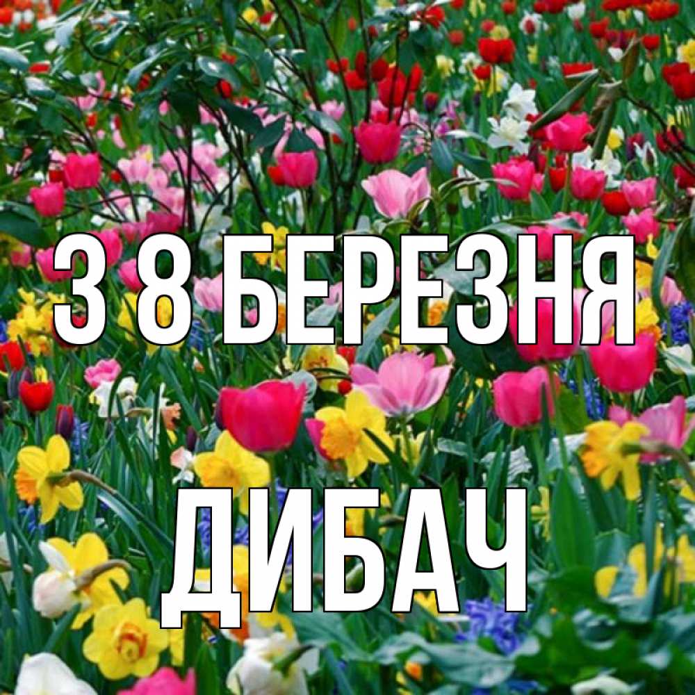 Открытка на каждый день з підписом, Дибач З 8 БЕРЕЗНЯ с международным женским днем поздравления для женщины Прикольна листівка з побажанням онлайн скачати безкоштовно 